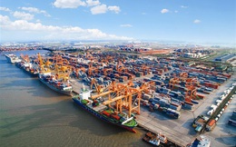 Cổ phiếu cảng biển - vận tải biển đồng loạt tăng mạnh ngày 2/8, nhiều mã kịch trần