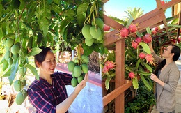 Vợ đảm ở Mỹ khoe vườn 450m2 ngập tràn hoa trái giống Việt, tiết lộ bí quyết "vàng" để cây đạt năng suất, quả trĩu trịt quanh năm