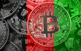 Bitcoin ở Afghanistan: Bên trong "thế giới ngầm" ở nơi ngân hàng đóng băng, nội tệ mất giá và lạm phát tăng vọt