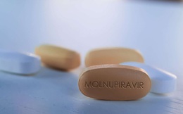 Sẵn sàng thuốc Molnupiravir thí điểm cho F0 điều trị tại nhà