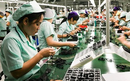 Chuyên gia quốc tế: 'Không có chuyện doanh nghiệp FDI rời bỏ Việt Nam'