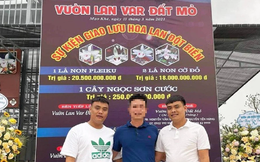 Ngoài khai thác than lậu, 2 anh em "đại gia lan đột biến" ở Quảng Ninh trốn nhiều loại thuế