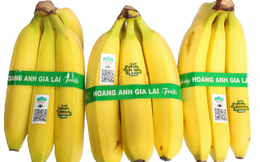 Hoàng Anh Gia Lai (HAGL): Muốn dùng thặng dư vốn xử lý lỗ luỹ kế, con gái bầu Đức sắp chi 21 tỷ mua vào 4 triệu cổ phiếu