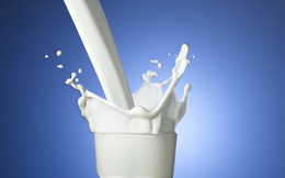Ngành sữa quý II: Biên lợi nhuận gộp Sữa Quốc Tế vượt Vinamilk