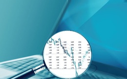 Louis Land (BII): Cổ phiếu tiếp tục kịch trần với 24.200 đồng/cp, kiểm toán nhấn mạnh loạt vấn đề trên BCTC soát xét