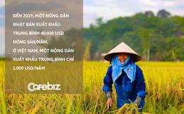 Giáo sư Việt tại Nhật lý giải vì đâu mỗi nông dân Việt xuất khẩu chỉ bằng 1/40 nông dân Nhật: ‘Hầu hết dùng smartphone để liên lạc, giải trí hơn là phục vụ nông nghiệp’