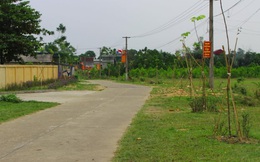 Bán 100m2 đất nông thôn, đủ tiền mua một căn chung cư cho con trên Hà Nội