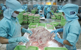 Doanh nghiệp thủy sản lo thiếu tiền cho '3 tại chỗ' có nguy cơ mất cả tỷ đồng để lắp một hệ thống đưa kết quả sai