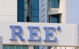 Bỏ trăm tỷ đầu tư chứng khoán và nắm 2,47 triệu cổ phiếu REE, Trần Phú Cable đang lãi hơn 30 tỷ đồng