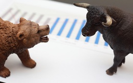 MBS: “Còn quá sớm để kỳ vọng thị trường chứng khoán có thể tái lập đỉnh”