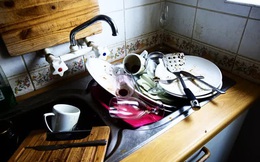 Chuyên gia chỉ ra 4 "điểm đen" trong căn bếp chứa cả ổ vi khuẩn E. coli có trong phân, gây tiêu chảy, ngộ độc