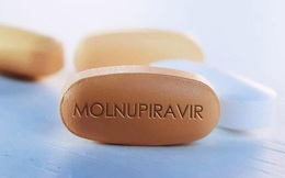 Bộ Y tế thông tin về các cảnh báo, thận trọng khi dùng thuốc điều trị COVID-19 Molnupiravir