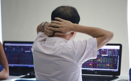 Hàng chục cổ phiếu giảm sàn, VN-Index giảm 14 điểm mà ngỡ như mất 50 điểm