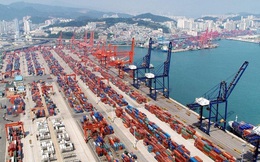 Cảng container lớn nhất thế giới tắc nghẽn nghiêm trọng, cả thế giới gánh hậu quả từ chính sách zero Covid của Trung Quốc