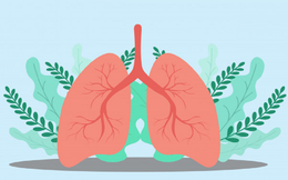Loại RAU được mệnh danh là thần dược bổ phổi tự nhiên: Ăn nhiều năm sẽ tống được chất độc ra ngoài, đặc biệt tốt cho phổi bị tổn thương do hút thuốc!