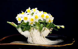 Hoa thủy tiên - loại hoa chơi Tết kỳ công của người Hà Nội xưa