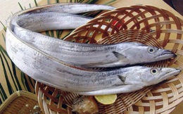 Khi đi chợ, thấy 4 loại cá này nhất định nên mua vì chúng vừa "mềm" giá lại cực bổ dưỡng