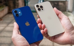 iPhone 12 sập giá đầu năm, giảm gần 2 triệu đồng tại Việt Nam