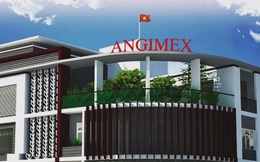 Angimex (AGM) đặt kế hoạch doanh thu năm 2022 tăng gấp đôi lên 8.000 tỷ đồng