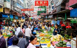 Trung Quốc tích trữ, giá cả lương thực thế giới có nguy cơ leo thang vào năm 2022
