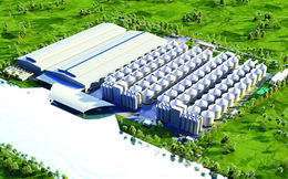 Siba Holdings chính thức trở thành cổ đông lớn của CTCP nông nghiệp BAF