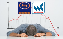 Hai doanh nghiệp lâu đời ngành xây dựng Sông Hồng, Vinaincon: Từ những dự án đình đám đến khoản lỗ luỹ kế hơn nghìn tỷ đồng