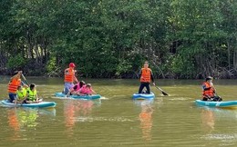 TPHCM thu hồi giấy phép kinh doanh nội địa của nhiều công ty du lịch lữ hành