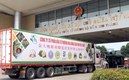 140 tấn sầu riêng xuất sang Trung Quốc qua cửa khẩu Lào Cai