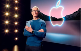 CEO Tim Cook tiết lộ công thức tìm kiếm nhân tài cho Apple: Cần 4 phẩm chất để ghi điểm!
