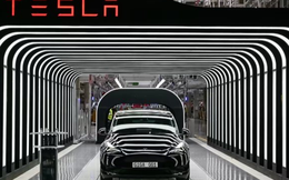 Lợi nhuận mỗi chiếc xe Tesla gấp 8 lần Toyota, Elon Musk đã vận hành hãng xe của mình như thế nào để vượt mặt ông lớn?