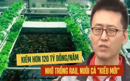 Tạo ra mô hình "nuôi cá không cần thay nước, trồng rau không cần bón phân", người đàn ông kiếm hơn 120 tỷ đồng/năm