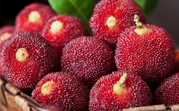 5 loại trái cây là 'vua ung thư', bị xếp vào 'danh sách đen' vì chứa nhiều ký sinh trùng và độc tố nhưng người Việt nào cũng mê