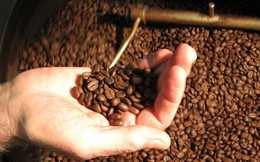 Kịch bản nào cho giá cà phê trong năm 2023?