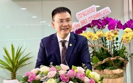 Ông Nguyễn Hồ Nam hoàn tất mua vào 5 triệu cổ phiếu Bamboo Capital (BCG) sau sự cố bị giải chấp