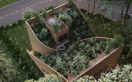 Vườn thảo mộc độc đáo trên mái nhà của đôi vợ chồng cao niên