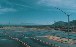 Tài trợ 107 triệu USD cho một dự án điện gió ở Ninh Thuận