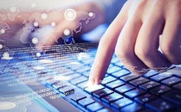 Cách nào ngăn chặn gian lận trong thương mại điện tử?