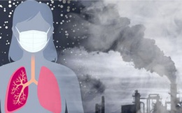 Khi chất lượng không khí giảm, ô nhiễm ngày càng tăng, nếu làm được 7 việc sẽ bảo vệ hệ hô hấp tốt nhất, không lo bị ung thư phổi