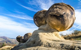 Bí ẩn những tảng đá ‘sống’ có thể lớn lên, sinh sôi và di chuyển