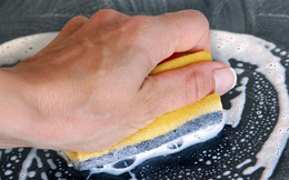 Miếng bọt biển, lưới rửa bát giúp căn bếp của bạn trở nên lấp lánh nhưng cũng là thứ bẩn nhất trong ngôi nhà