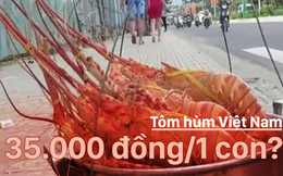 Thực hư báo Trung Quốc nói tôm hùm bán rong ở Việt Nam giá 35.000VNĐ/con: Sự thật ít ngờ!