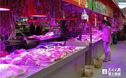 Giá lợn hơi liên tục giảm, nhiều tỉnh ở Trung Quốc thu mua dự trữ thịt lợn