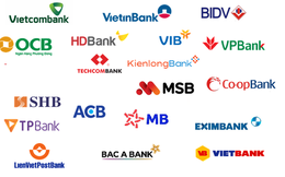 Ngân hàng Việt nào đang dẫn đầu về mạng lưới chi nhánh, phòng giao dịch?