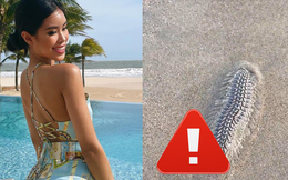 Thêm một mối nguy hiểm ở biển Vũng Tàu sắp “vào mùa”, Tiên Nguyễn từng phải hốt hoảng đăng story cảnh báo