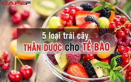5 loại trái cây là “thần dược” cho tế bào, chuyên gia mách rằng: Ăn càng nhiều thì khả năng chống ung thư càng cao