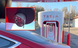 Sự cố hi hữu: trạm sạc xe điện siêu nhanh của Tesla bị cắt trộm cáp
