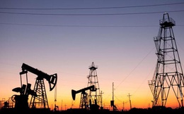 Giá xăng dầu dự báo sắp có mức tăng ám ảnh, chuyên gia khuyến nghị Bộ Tài chính xem lại mức thu thuế