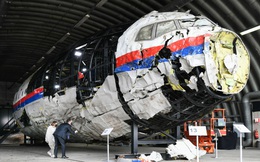Australia, Hà Lan kiện Nga về thảm kịch máy bay MH17 bị bắn rơi ở Ukraine