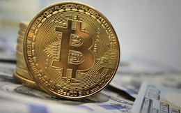 Chuyên gia đầu tư: Bitcoin sẽ hiện diện trong hơn 1 tỷ ví điện tử vào năm 2025
