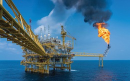 Giá dầu đảo chiều tăng dựng đứng, cổ phiếu Dầu khí lại "nóng"